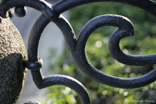 It starts at the fence in front of the New Town Hall illuminated by the sun.