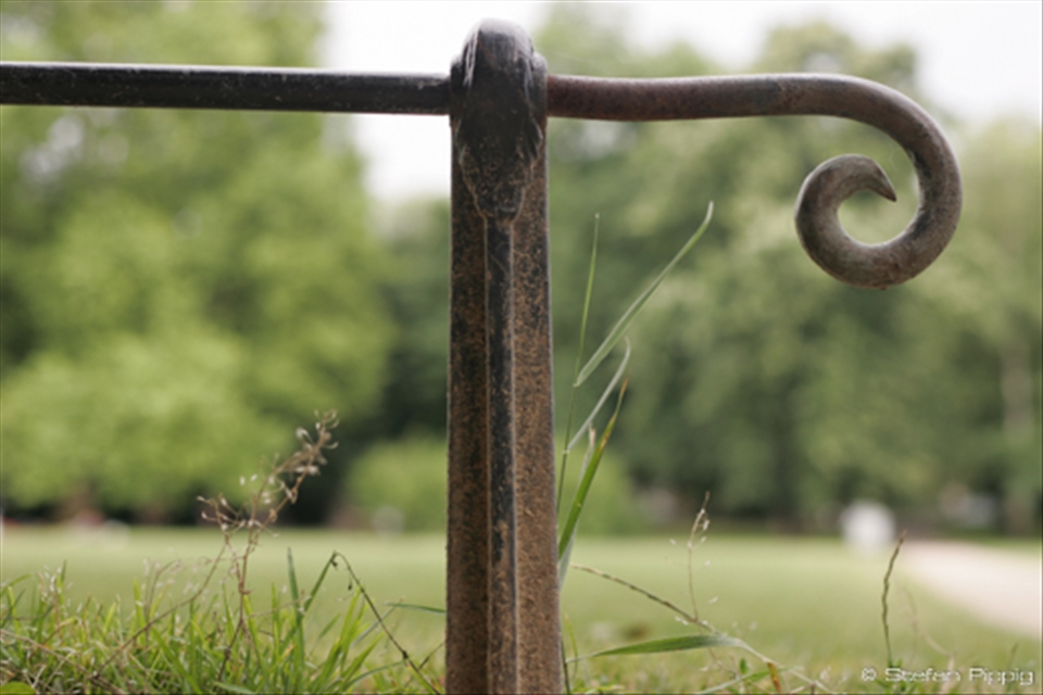Strolling in the Johanna Park and capturing another metal fence.
