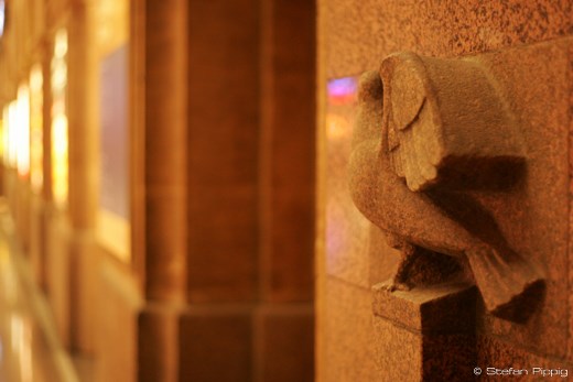 At Main Station and capturing a bird there which I never noticed before.