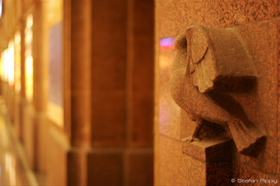 At Main Station and capturing a bird there which I never noticed before.