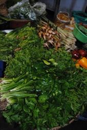 The herbs in the market in Kanchanaburi.  : by straywith-asuitcase, Views[224]