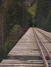 High Steel Bridge: by studiounderdog, Views[277]