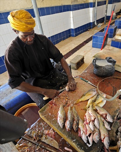 Muscat - A Local Omani fisherman prepares his catch for sale, after a busy morning fishing