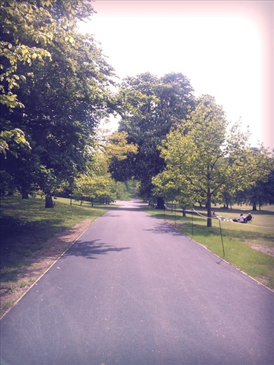 Greenwich Park - Time is something that brings the whole world togehter. Time started because of travel...we travel today because we know what time to catch a train or flight. We are all connected because of time. Greenwich is one of the places where the international dateline passes through. In all this unity, it's important to define one's own path...regardless of what the others follow. Ergo, the above picture depicts the chosen path. Is it right?  Or wrong? Only adventure has the answer.