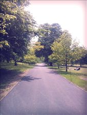 Greenwich Park - Time is something that brings the whole world togehter. Time started because of travel...we travel today because we know what time to catch a train or flight. We are all connected because of time. Greenwich is one of the places where the international dateline passes through. In all this unity, it's important to define one's own path...regardless of what the others follow. Ergo, the above picture depicts the chosen path. Is it right?  Or wrong? Only adventure has the answer.: by subranu, Views[738]