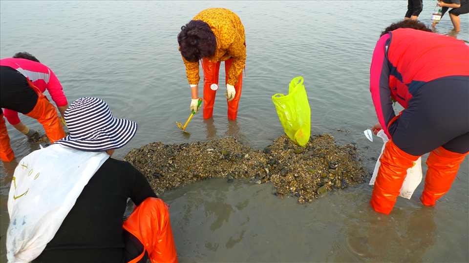 The receding tide is the perfect opportunity to dig up some delicious eats.
