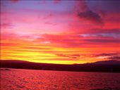 This was the very first time I have see Hilo with a bright and colorful sunset like Kona. I was walking at Liliuokalani park around 5pm and the sun was going down, the sky was getting brighter and brighter with color. It was a perfect moment I had my camera and I stop where the benches were. A great view where you can see Mauna Loa and Mauna Kea and the colors right in between them.: by summertm, Views[272]