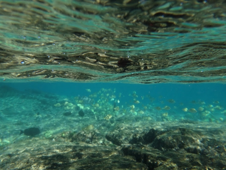 This is my favorite beach been going there ever since I was a baby. The Kapoho tide pools a unique beach lava for its sand, amazing corals and many fish.
