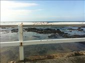 With this, I wish I could have got out the car and stopped, but sadly this was past a main road and had no where to stop, so I snapped a quick pic as we were moving.: by sunnyleyy, Views[316]