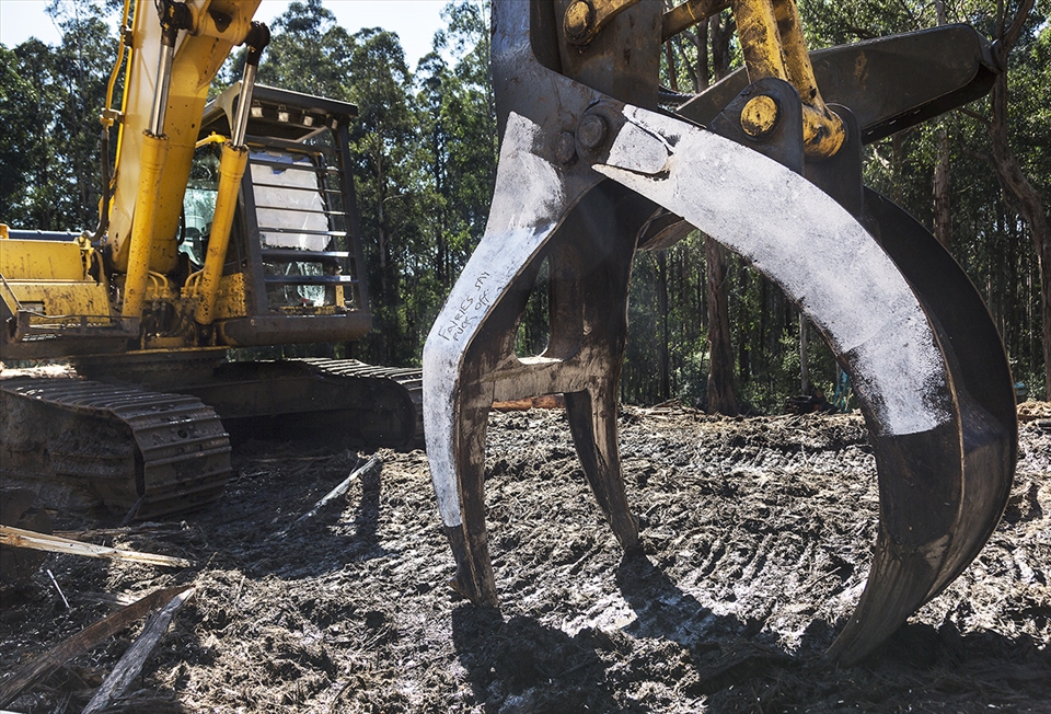Clear-fell logging is being conducted in the Toolangi State Forest. These heavy-duty logging machines do not stay idle for long. Logging contractors have been known to work around the clock, seven days a week.
