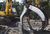 Clear-fell logging is being conducted in the Toolangi State Forest. These heavy-duty logging machines do not stay idle for long. Logging contractors have been known to work around the clock, seven days a week.: by sunnynyssen, Views[850]