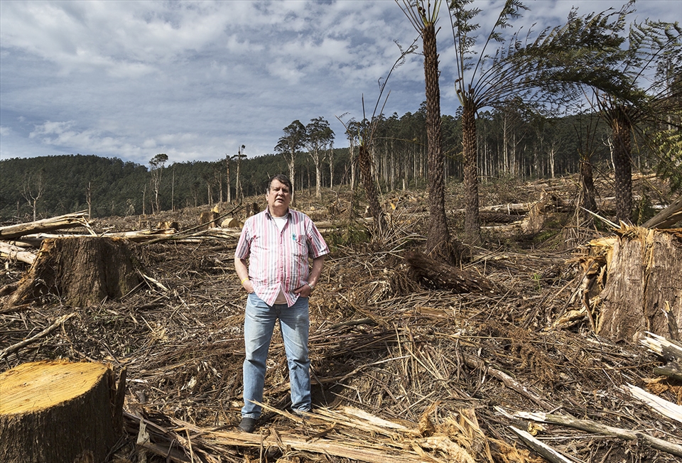 Local resident and forest educator Steve Meacher stands in what was once Mountain Ash forest and Tree fern gullies in Rusty coupe, Toolangi.  Steve now campaigns full time to save the forest from further logging and is the president of the Friends of Leadbeatters committe and a spokesperson for the Great Forests National Park proposal.