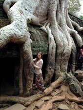 When nature wins the battle with the stone.: by sunnyolchik, Views[283]