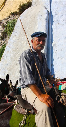 Making a living in the harsh sun can be hard, this man watches over his donkeys as the tourists line up to ride them.
