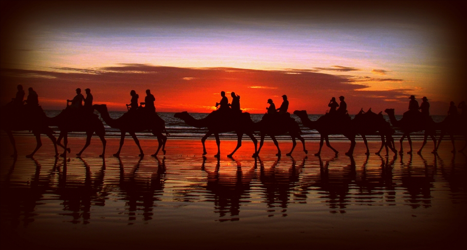 Cable Beach, WA.

The famous Camel ride at sunset on Cable Beach, Broome. Well worth the ride, but more so, well worth sitting on the beach with your camera and a cool drink to watch the sun setting as the Camels stroll by....Bliss!