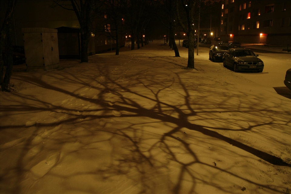 fascinating natural shadows in a winter night
