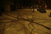fascinating natural shadows in a winter night: by suomi, Views[211]