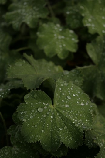 autumn days are coming