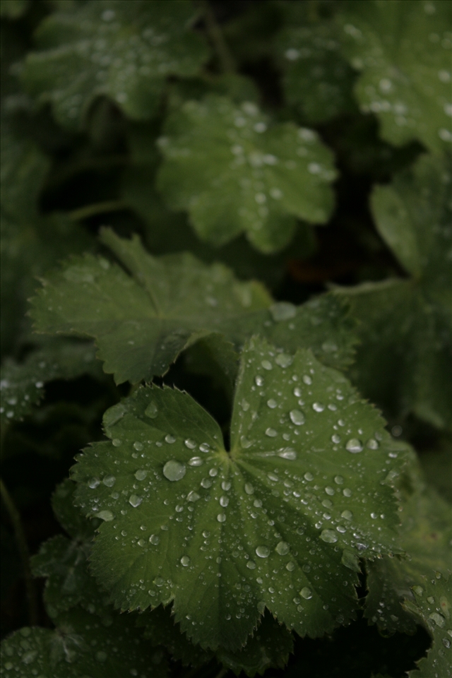 autumn days are coming