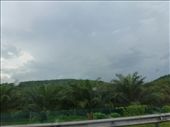 Palm oil plantations as far as the eye can see...:(: by supergg, Views[222]