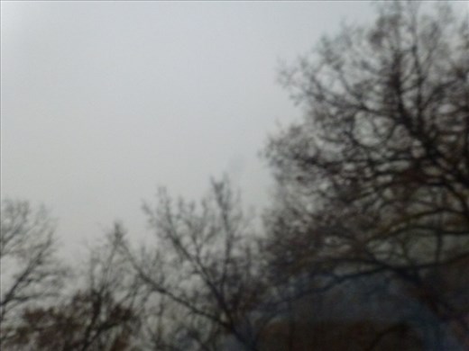 Countryside from Wurzburg to Steinach