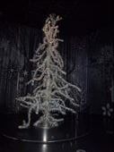 Swarovski crystal Christmas tree. So sparkly: by supergg, Views[220]