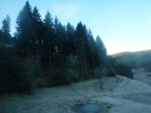 Frosty early morning Black Forest fields