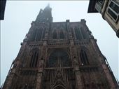 Strasbourg's cathedral: by supergg, Views[273]