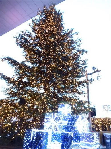 Christmas tree beside the train station