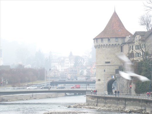 Tower. Part of old town fortifications
