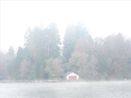 Misty lake cruise