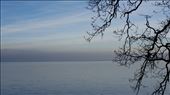 Our first glimpse of Lake Geneva in the mist: by supergg, Views[251]