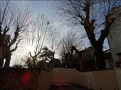 A secret garden: by supergg, Views[265]