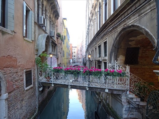 Another bridge...so pretty