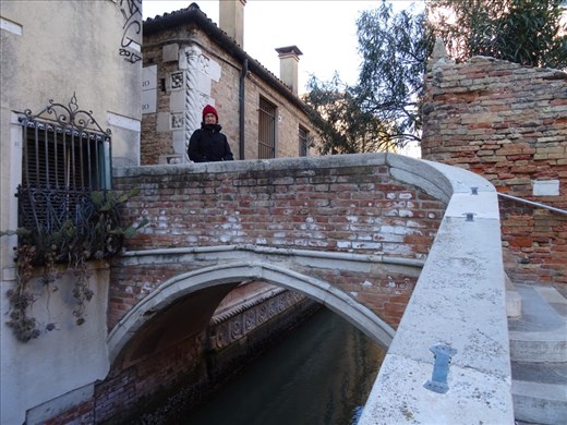 Looking at the pretty garden from a pretty bridge