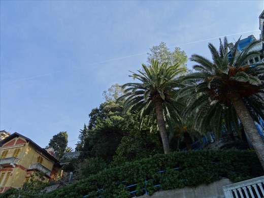 Private garden in Levanto