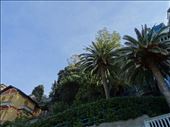 Private garden in Levanto: by supergg, Views[294]