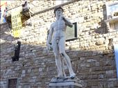 Fake David at Piazza della Signora: by supergg, Views[257]