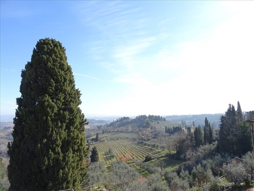 Countryside around San Gimignano 