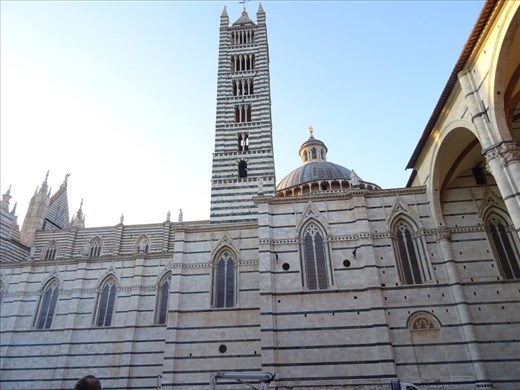 Basilica & bell tower in Siena