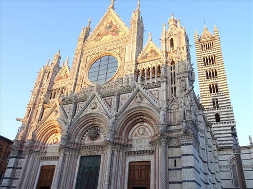 Basilica and bell tower in Siena