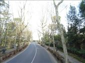 Along the avenue: by supergg, Views[209]