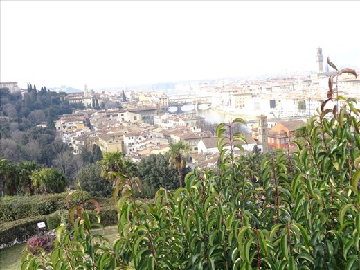 Florence from Piazzale Michelangelo