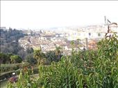 Florence from Piazzale Michelangelo: by supergg, Views[297]