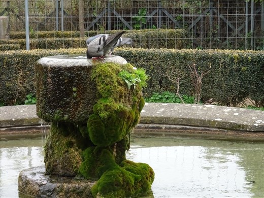 Fountain on Palatine Hill