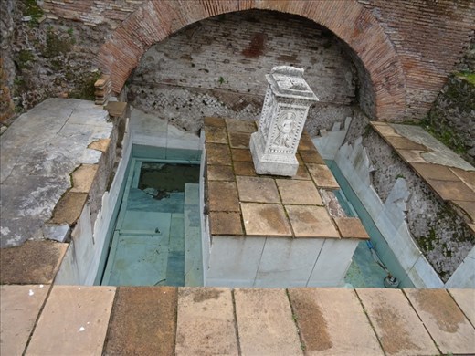 Spring in Roman Forum