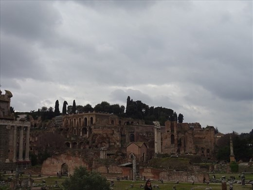 Roman Forum/Palatine Hill
