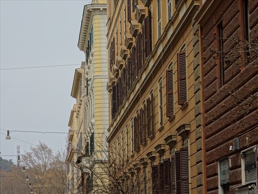 Saturday morning wanderings