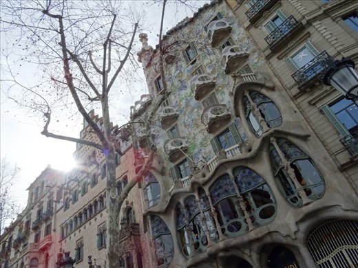 Casa Battlo by Gaudi