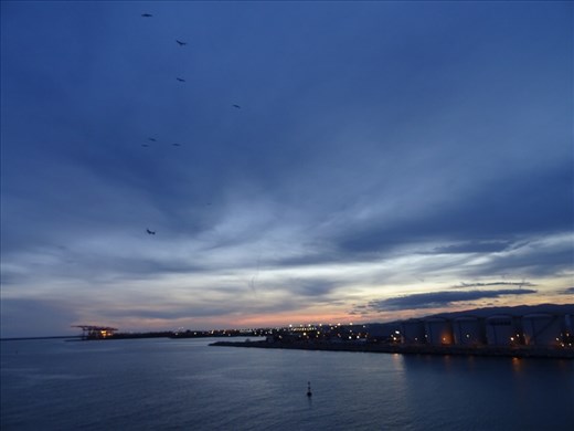 Barcelona sunset; birds; plane